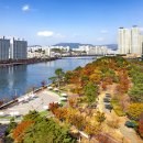 평화누리자전거길 쉼터A | 부산 APEC나루공원: 피크닉과 자전거 산책, 주차 정보까지!