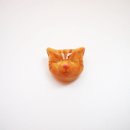 더누보 이미지