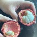 백과원