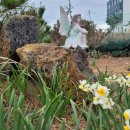 요나하우스 이미지