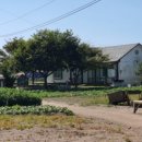 순정민박 이미지