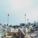 생각의 오름 | 한라산 윗세오름 등반 후기｜3월 영실코스에서 어리목코스까지
