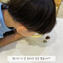 병아리반 달팽이 프로젝트 전개1단계🐌 이미지