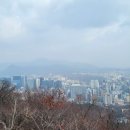 남산공원길1 이미지