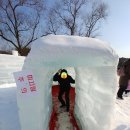 의림지에서 펼쳐진 제천 얼음 축제 이미지