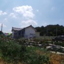 김유정로 이미지