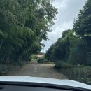 주경목장 | [제주 10주년 여행] 길갈팜랜드 | 삼다수숲길 포기