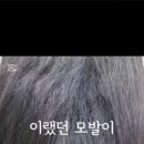 더샤인헤어.케어 이미지