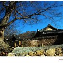 사랑의연리근 이미지