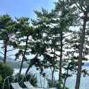 거제생각속의집펜션5 | 경남 오션뷰 수영장 감성숙소 거제 생각속의집펜션