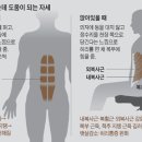 늘어진 뱃살 쏙 빼주는 2가지 운동 이미지