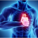 독일렉스톤보청기 이미지