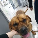 세실농장 이미지