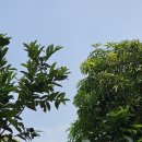 화성중앙종합병원 향남스마트병원 소외계층에 의료 봉사