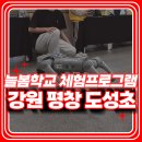 창의력 보드게임 | 체험 부스 프로그램 : 강원도 평창 도성초등학교 창의력 쑥쑥 인공지능 AI 로봇 VR AR 스포츠 운영후기