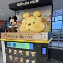 [일본 직장인 휴가]일본 대휴가철 골든위크/나리타 공항 1터미널 라운지 노아 후기/비행기 뒷모습