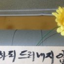 경성온누리약국 이미지