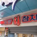 오양회참치 | [시청역] 오양회참치 점심 런치 단골 후기!