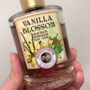 바닐라블라썸(Vanilla Blossom) 이미지