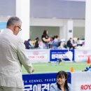 올웨이즈 반려견 미용실 이미지