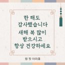 원 핏 아라 이미지