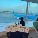 우가족발 | 간 나트랑 여행 (안토이/마담프엉/웰스파/동하이씨푸드/피자포피스/반미판/빈원더스/인터컨티넨탈 후기)