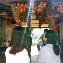 진촌농장 이미지