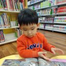 도서관 동수작은도서관 이미지