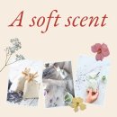 향기 있는 도서관(방향제 만들기) | 차량 방향제로 인기 좋은 샤쉐 향기주머니 체험 클래스