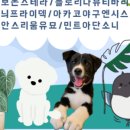 오딘에프