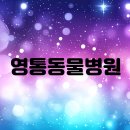 영통동물병원