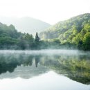 신화랑풍류숲길 이미지