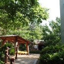 봉제산 등촌동 숲속놀이터 이미지