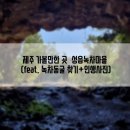 성읍녹차마을영농조합법인 이미지