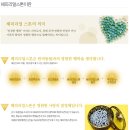 해피스톤 이미지