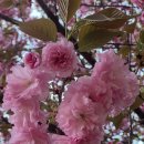 완산체육공원 화장실 이미지