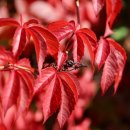 라이프메디칼 이미지