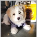 아이조아요양보호소 전남광주점 이미지