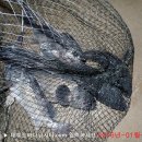 솔하우스 이미지