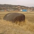 아영면 광평마을 이미지