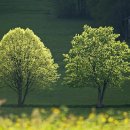 은하초등학교 이미지