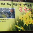 공곶이언덕 이미지