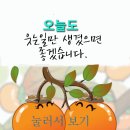 쫑생쫑사당구네 이미지