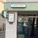 성수퍼피 이미지