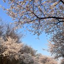 세븐일레븐 평택은혜로점 이미지