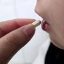 폴리코사놀 추천, 쿠바산 사탕수수에서 찾은 나만의 건강 루틴 – 엔썸잇 Dr 폴리코사놀 21 후기