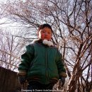 리스캐빈 이미지