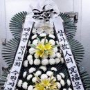 신미주(아) Daum카페