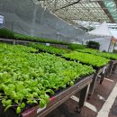 불암농장 이미지