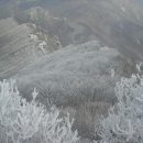 눈꽃안경 이미지